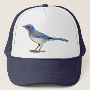 BONÉ JAY 2
