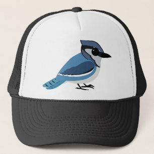 Boné Jay azul adorável