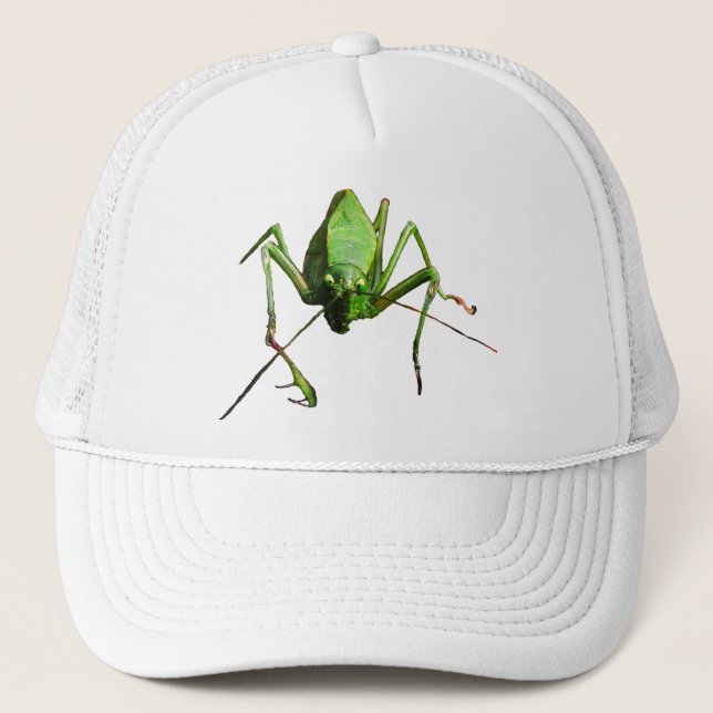 Boné Katydid (Frente)