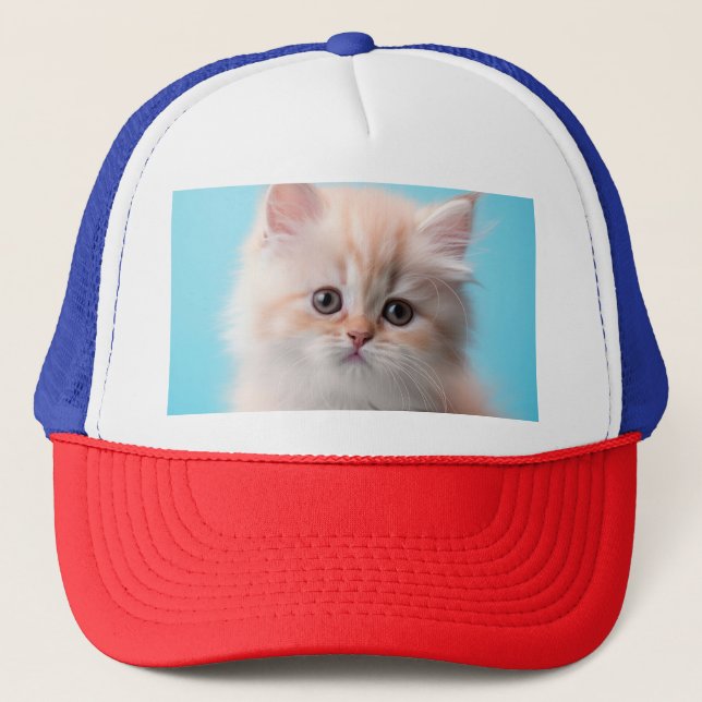 Boné Kitten Adorável com Fundo Azul (Frente)