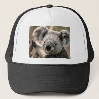Boné Koala