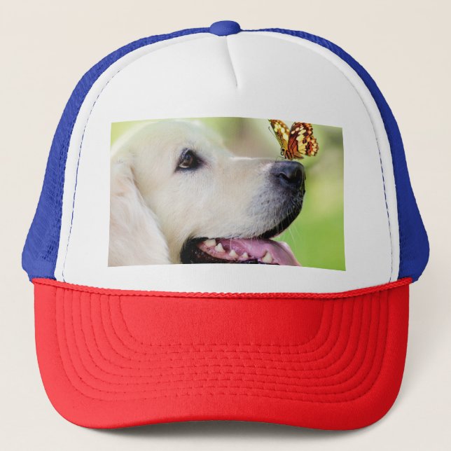 Boné Labrador E Travesseiro decorativo De Borboleta (Frente)