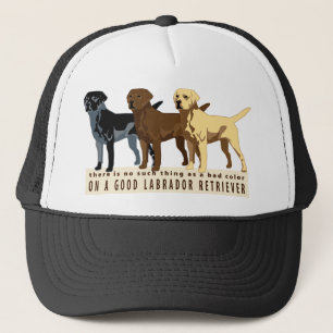 Boné Labrador retriever 3 cores