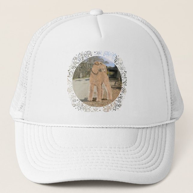 Boné Lakeland Terrier no Pátio Estável (Frente)