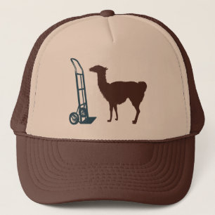 Boné Lama da zorra