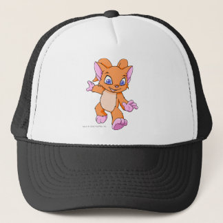 Boné Laranja de Acara