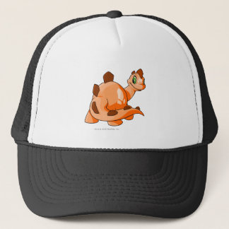 Boné Laranja de Chomby