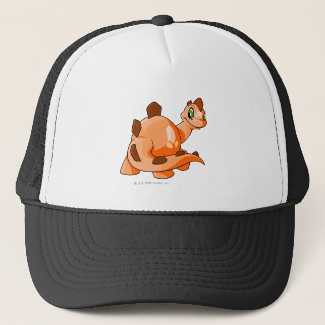 Boné Laranja de Chomby (Frente)