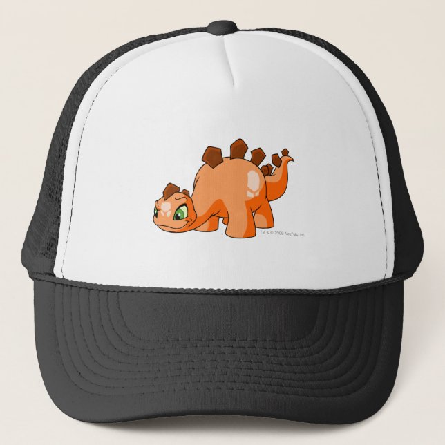 Boné Laranja de Chomby (Frente)