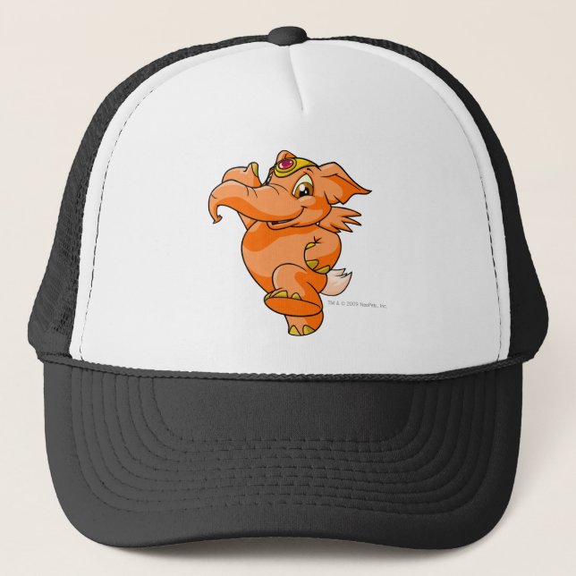 Boné Laranja de Elephante (Frente)
