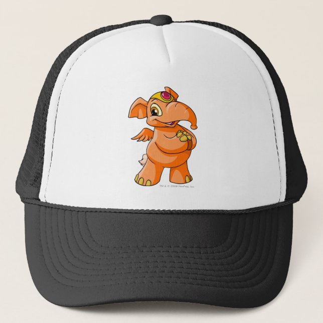 Boné Laranja de Elephante (Frente)