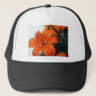 Boné Laranja LIly