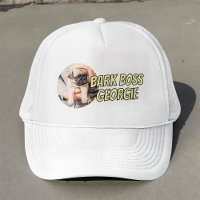 Latido Chefe Pet Dog Foto Moderna Simples Legal
