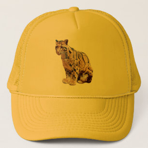Boné leopardo nebuloso fotografia selva grande gato ani