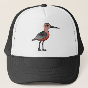 Boné Limosa com cauda listrada
