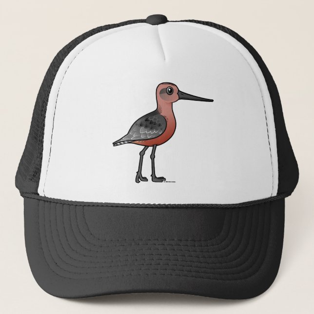 Boné Limosa com cauda listrada (Frente)