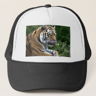 Boné Língua Tigre