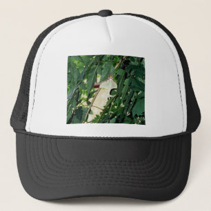 Boné Luna Moth