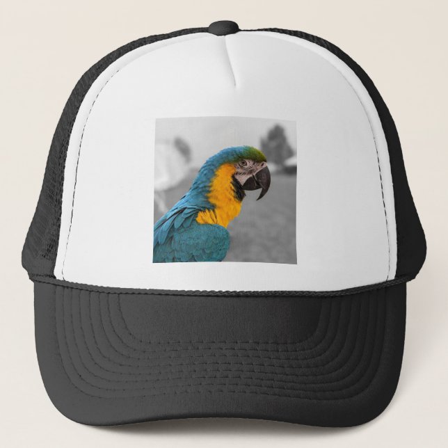 Boné Macaw Parrot (Frente)