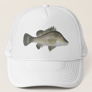 Boné Macqurie Perch