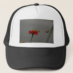 Boné Mães e Zinnia Vermelha