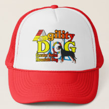 Maior Agilidade dos Cães das Montanhas Suíças