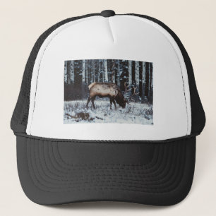 Boné Majestade do Inverno: Gorro de Caminhoneiro com Al