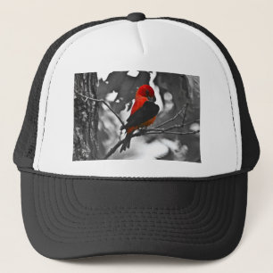 Boné Male Scarlet Tanager