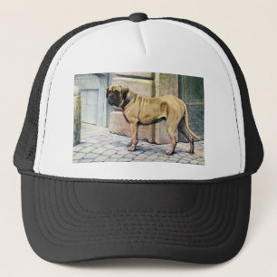 Boné Mastiff