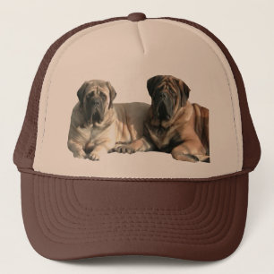 Boné Mastiff Kappe