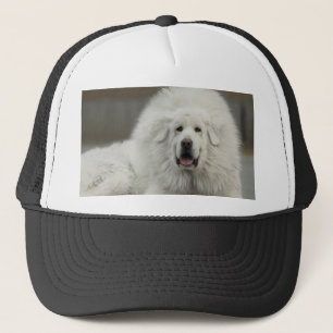 Boné Mastiff tibetano branco legal