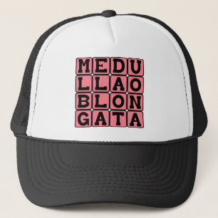Boné Medula Oblonga, Tronco Cerebral Inferior