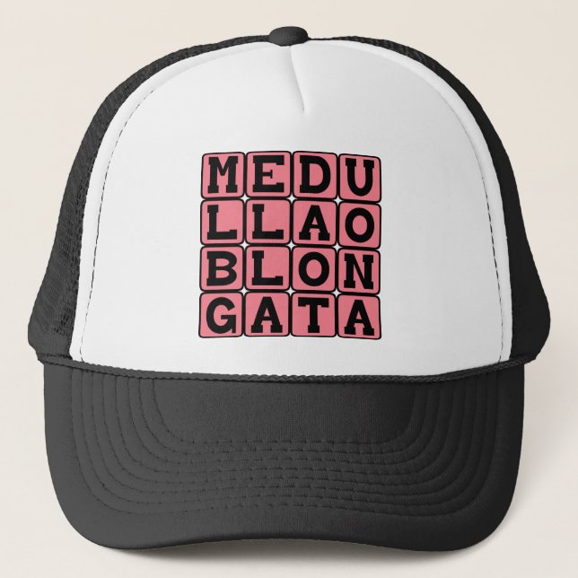 Boné Medula Oblonga, Tronco Cerebral Inferior (Frente)