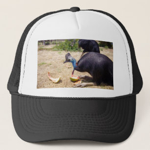 Boné Melões de alimentação de aves Cassowary,