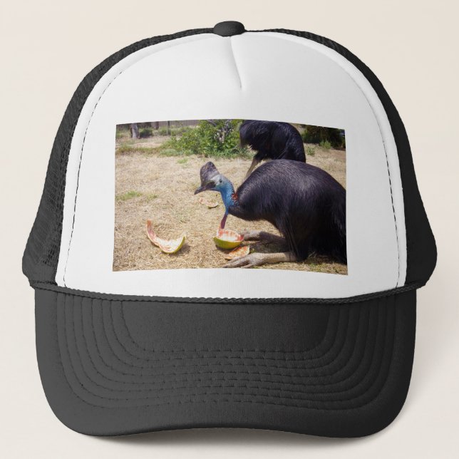 Boné Melões De Engorda De Pássaros Cassowary, (Frente)