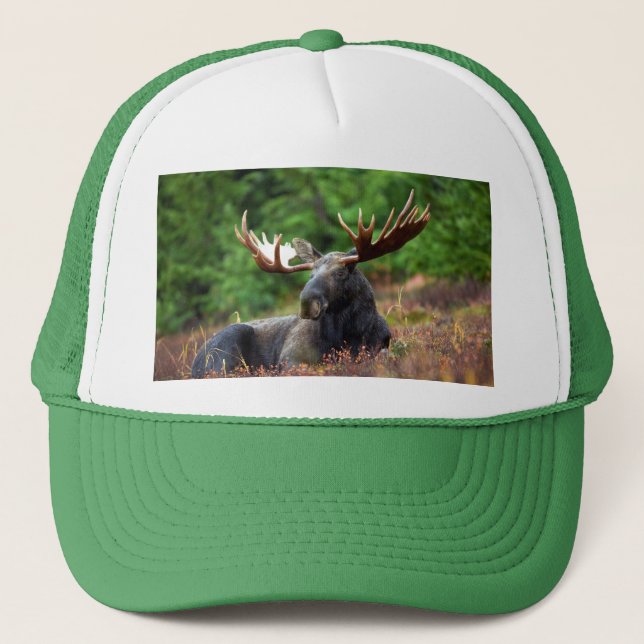 Boné Moose (Frente)