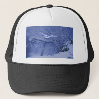 Boné Moulton cai Washington - espírito nevado da coruja