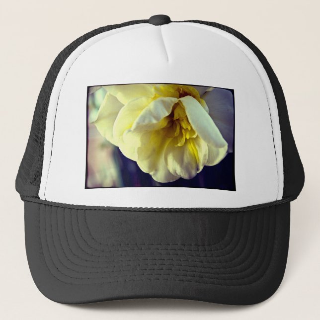 Boné Narcissus Daffodil (Frente)