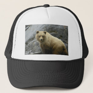 Boné Natureza do destino dos animais de Alaska do urso