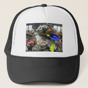 Boné Nemo com seu grupo