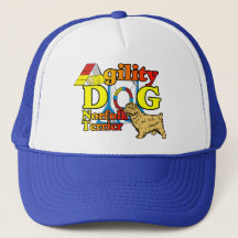 Norfolk_Terrier_Agilidade