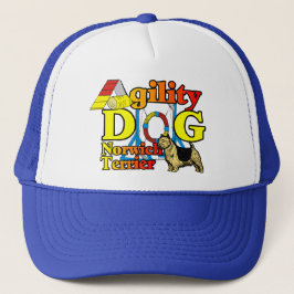 Boné Norwich_Terrier_Agilidade