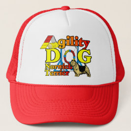 Boné Norwich_Terrier_Agilidade