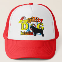 Novos presentes de agilidade