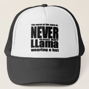 Boné Nunca confie um lama em um chapéu