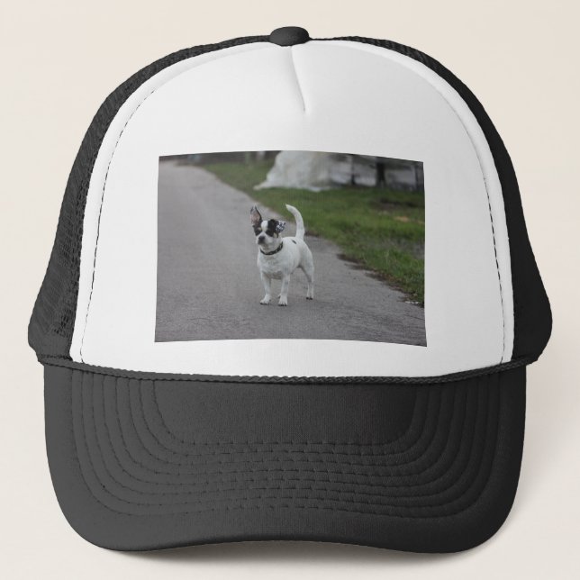 Boné O Cachorro Terrier está bonito! (Frente)
