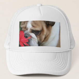 Boné O chapéu do buldogue "toma o tempo cheirar as