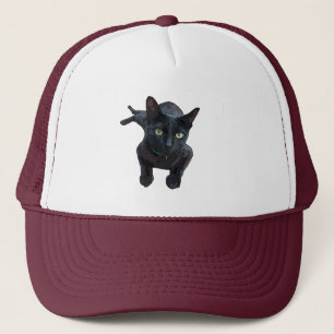 Boné O Fascinante Apelo do Gato Negro
