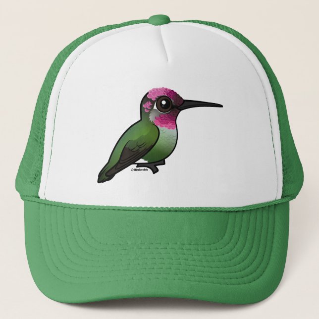Boné O Hummingbird de Anna (Frente)