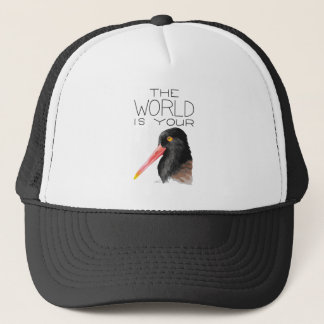 Boné O mundo é seu Oystercatcher